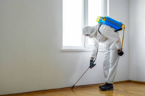 Best Pest Prevention Services  in La Feria, TX